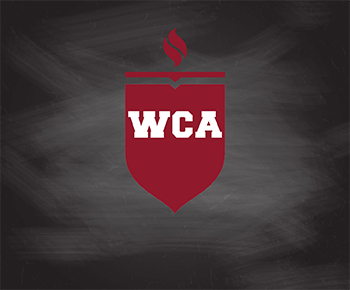 Wildcat Collegiate shield on chalkboard background