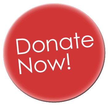 donate now button  