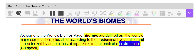 Read&Write for Chrome - website example 