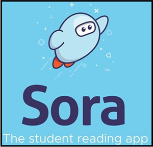 sora