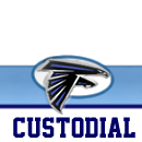 Custodial with falcon
