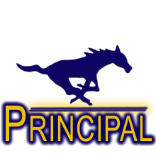 principal icon 