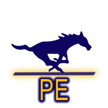PE logo 