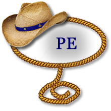 PE logo 