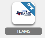 teams app in webdesk 